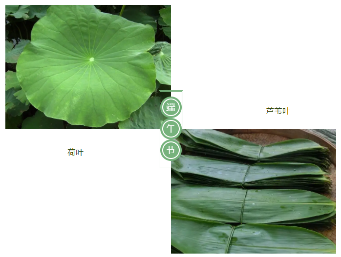 在线买球（中国）唯一官方网站医纺