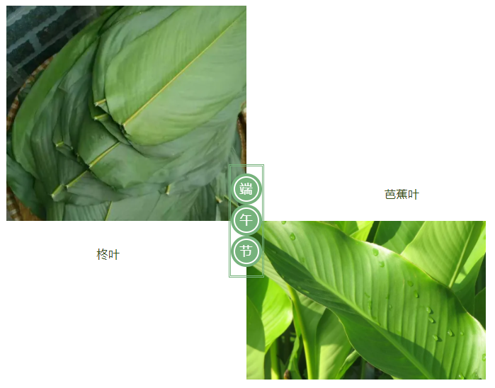 在线买球（中国）唯一官方网站医纺
