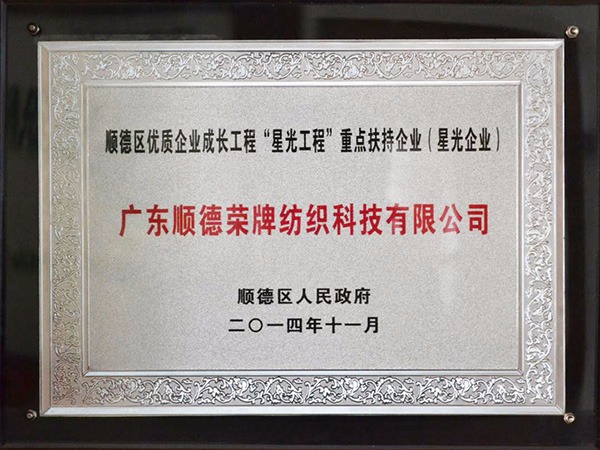 在线买球（中国）唯一官方网站-2012年获顺德政府颁发“星光企业”称号