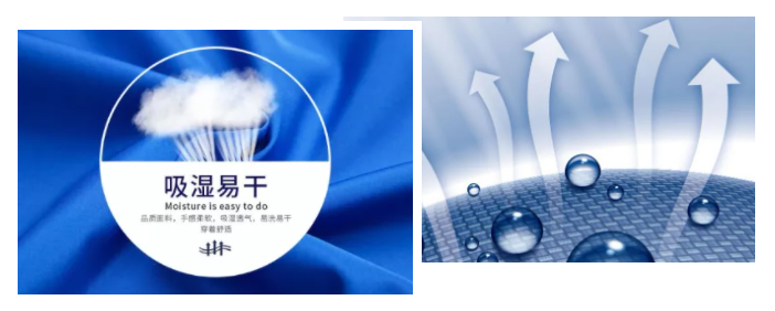 在线买球（中国）唯一官方网站医纺