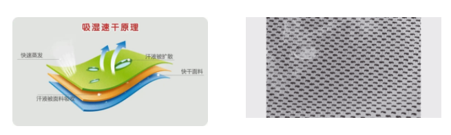 在线买球（中国）唯一官方网站医用纺织