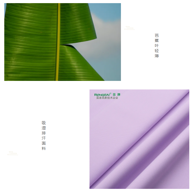 在线买球（中国）唯一官方网站医纺