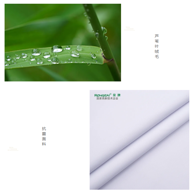 在线买球（中国）唯一官方网站医纺