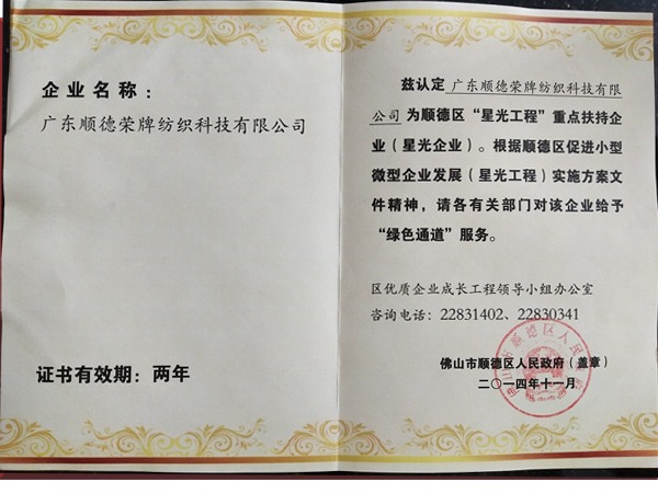 在线买球（中国）唯一官方网站荣获政府重点扶持企业